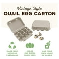 thumbnail image 5 of Quail Egg Cartons - Recycled Cardboard Paper Pulp 3x4 Square Style - Holds One Dozen Eggs (30), 5 of 5