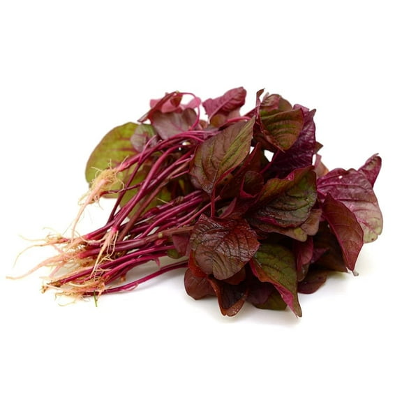 Red Spinach Seeds for Planting - 500  Seeds - Ships from Iowa, USA. Very Healthy Chinese Amaranth Spinach