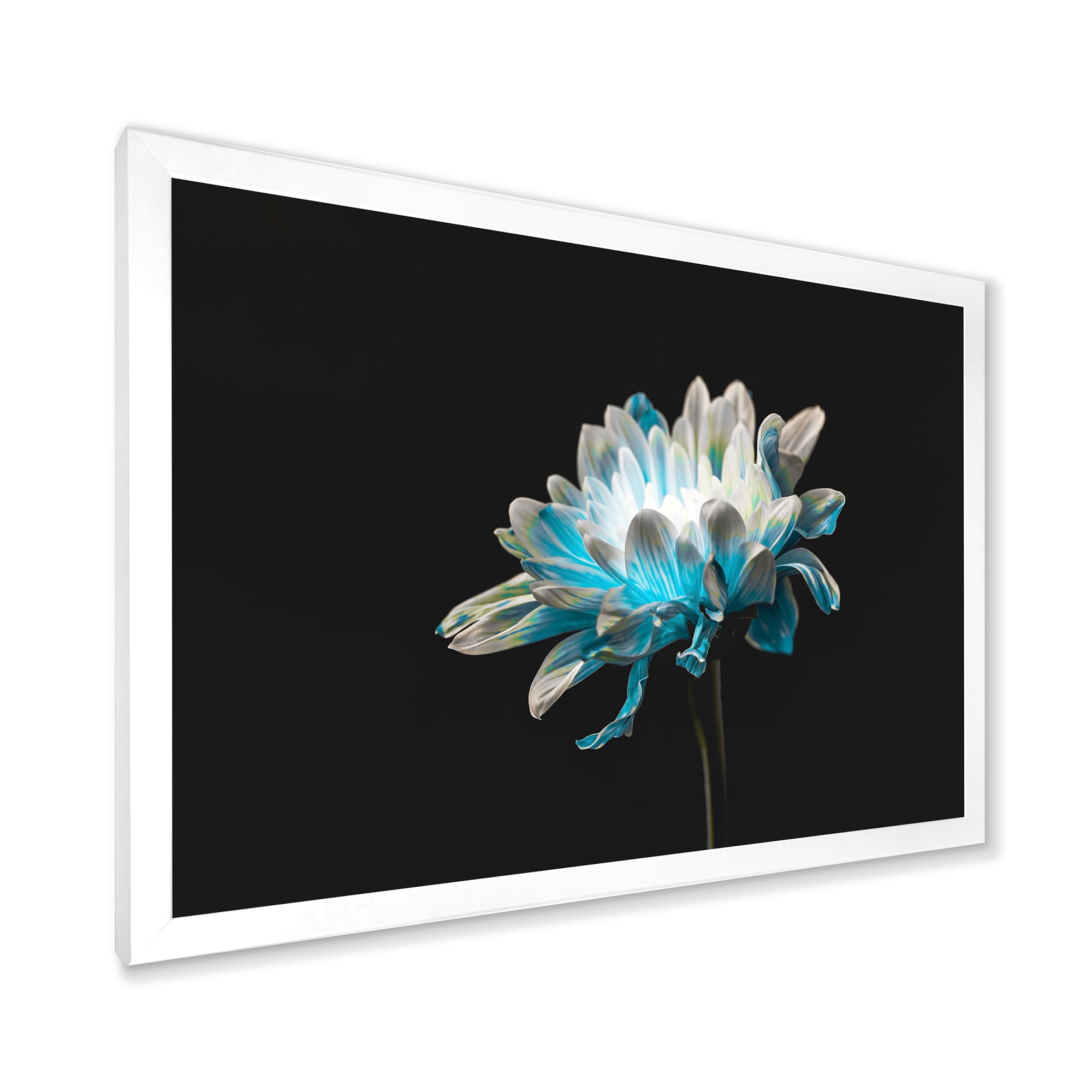 Designart 'Close Up Of White and Pure Blue Daisy Flower I' Traditional Framed Art Print