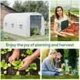 thumbnail image 6 of Homiyad 15x7x7 High Tunnel Greenhouse, with 6 Roll-up Windows & Roll Up Door, 140 GSM PE Cover, Steel Frame, for Planting, Garden, White | Aosom.com, 6 of 8