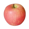 thumbnail image 4 of Home Furnishing Artificial Appleplastic Ecorative Fruit Green, 4 of 9