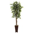 thumbnail image 1 of Nearly Natural 6.5Ft. Ficus With Decorative Planter, 1 of 5
