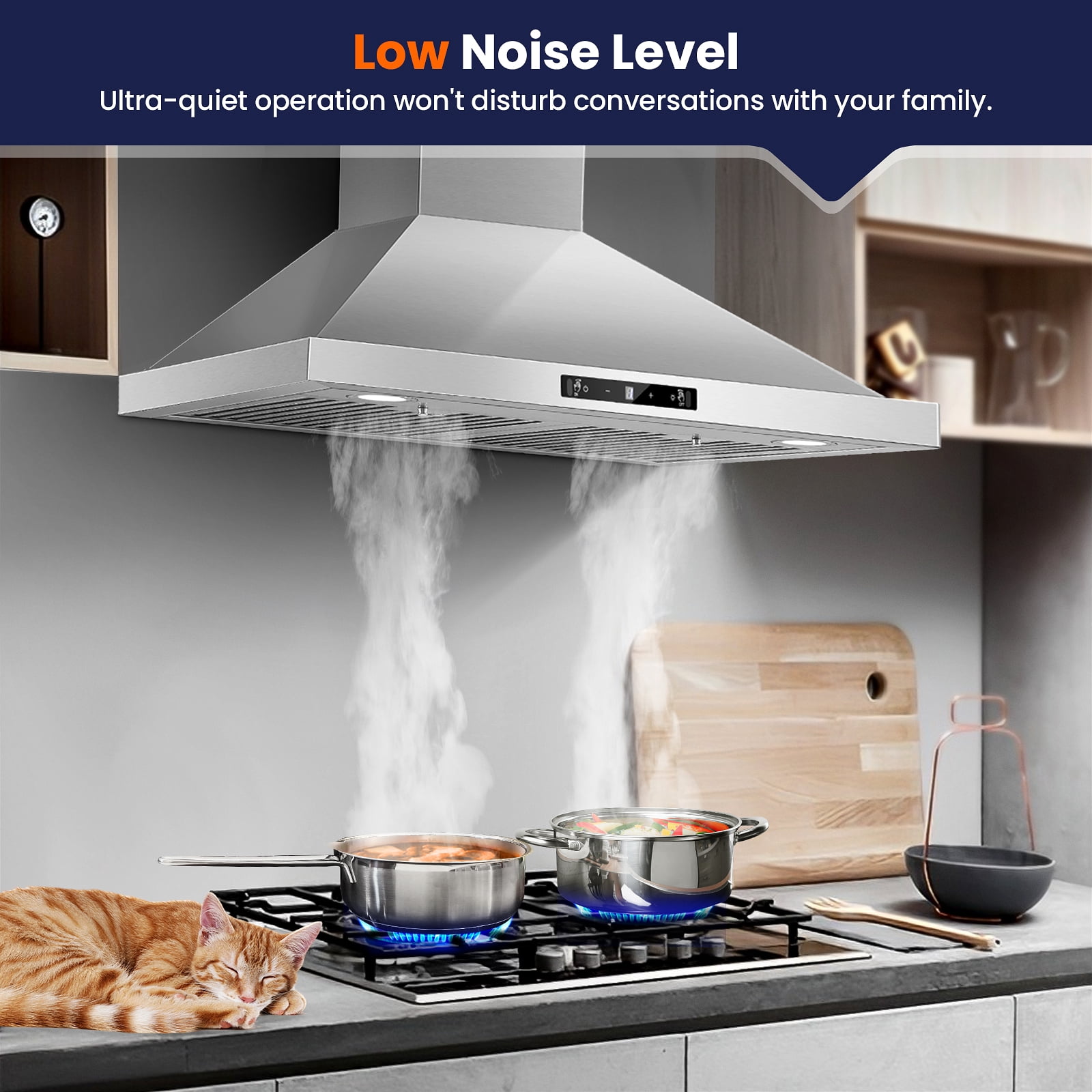 Joeaonz 30" Stainless Steel Wall Mount Range Hood with LED Light, 3-Speed Exhaust Fan, Ducted/Ductless Options
