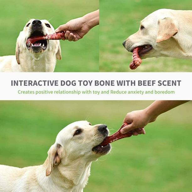 Labrador chew cheap toys