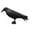 Black, variant on Realistic Black Raven Decoy - 35cm Scary Plastic Crow for Pigeon & Bird Control - Hanging Garden Pest Deterrent with Stand - Hunting Bait & Outdoor Decoration