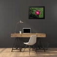 thumbnail image 4 of Bonin, Suzanne 24x19 Black Modern Framed Museum Art Print Titled - Budding, 4 of 5