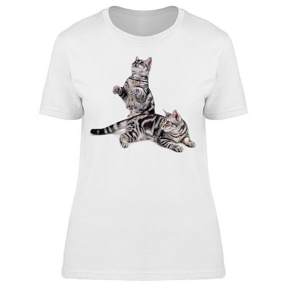 Shorthair Kittens, Playful T-Shirt Women -Image by Shutterstock, Female 3X-Large
