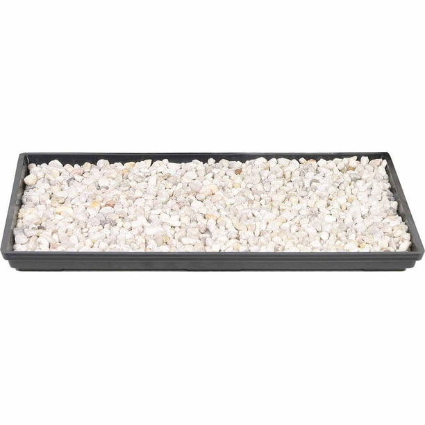 Brussel's Bonsai Humidity Tray 13"