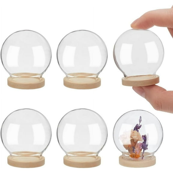 6 Pcs Mini Round Glass Dome Clear Glass Display Dome Cover with Wood Base Cloche Bell Jar for Centerpieces Plants Rocks Specimens Decorations Crafts Diameter: 1.57 inch Burlywood