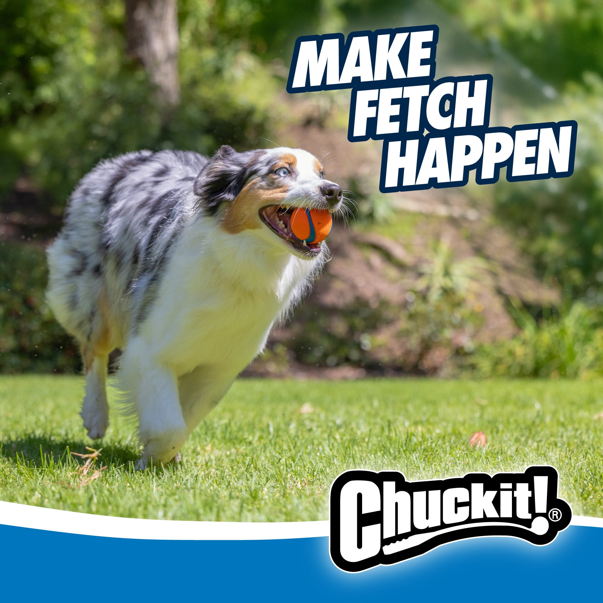 Chuckit! Ultra Ball Rubber Fetch Dog Toy with Carry and Clean Bucket, Includes 8 Medium (2.5") Ultra Balls, for Dogs 20-60 lb
