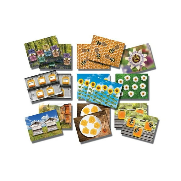 Yellow Door Honey Bee Early Number Cards (16 Pieces)