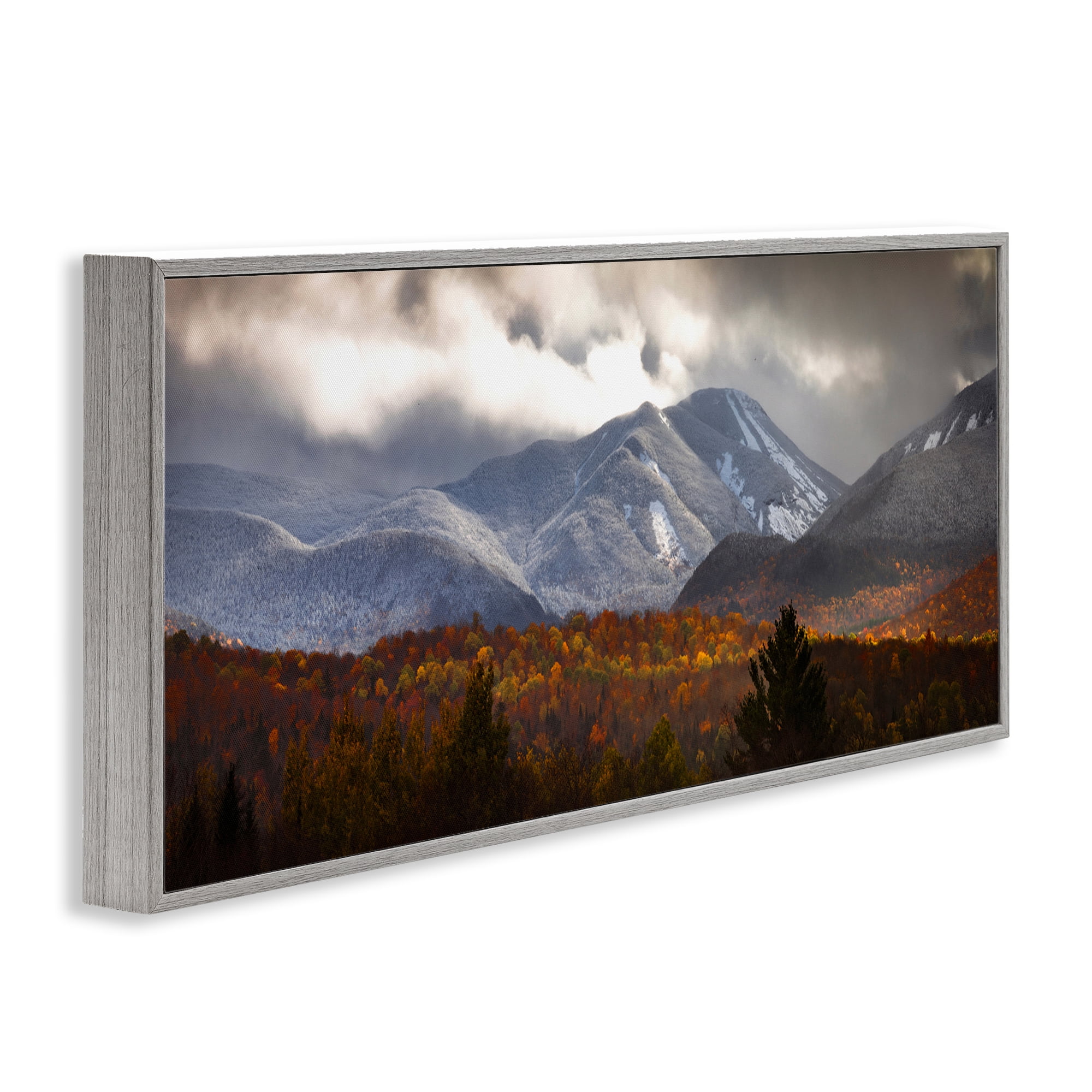 Stupell Industries Colliding Seasons Mountainscape Gray Framed Giclee Art, design by Jonathan Zaharek