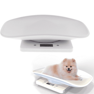  Digital Pet Scale for Puppy and Cats, Puppy Whelping Supplies  Scale, Weigh Capacity 33 lbs (±0.03oz), Removable Tray Size 13.4 x 9.5  Inch, A Pet Scale for Adult Cats and Small