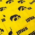 thumbnail image 3 of Iowa Hawkeyes Tailgating or Grilling Apron With 9" Pocket, Fully Adjustable, 3 of 6