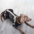 thumbnail image 6 of Leeye Halloween Pet Skeleton Outfit, Funny Cosplay Cat Dog Clothing with Horrible Theme for Party Daily Wear, Black, XXL, 6 of 9
