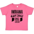 thumbnail image 3 of Inktastic Indiana Awesome Since 1816 Boys or Girls Baby T-Shirt, 3 of 5