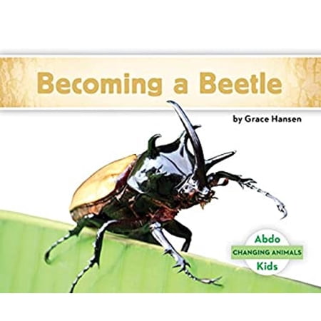Pre-Owned Becoming a Beetle (Library Binding) 9781532108143
