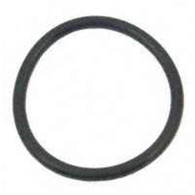 Chapin 12541 Compression Pump Gasket, For Use With 37039 Chapin