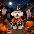 thumbnail image 6 of Aoznliie Dog Clothes Set, Halloween Pet Cloak with Hat for Party Apparel, 6x4 inch Adjustable Costume for Cats Dogs, Black M, 6 of 7