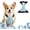 Blue, variant on Ice Gel Dog Cooling Vest, Adjustable Waterproof Pet Cool Harness Prevent Heatstroke for Hot Summer Walking