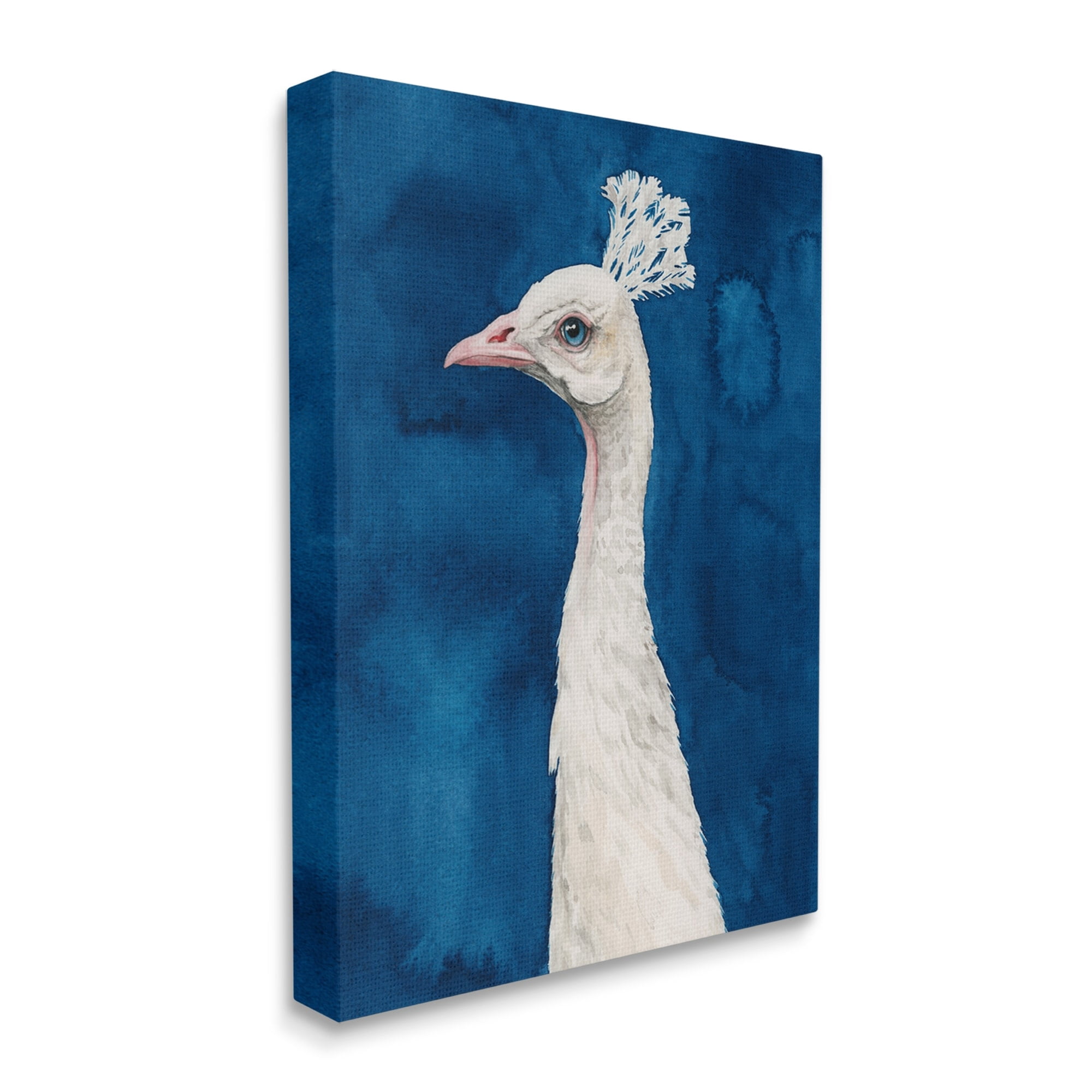 Stupell Industries Gorgeous Royal Blue White Feathers Peacock Portrait , 16 x 20, Design by Grace Popp