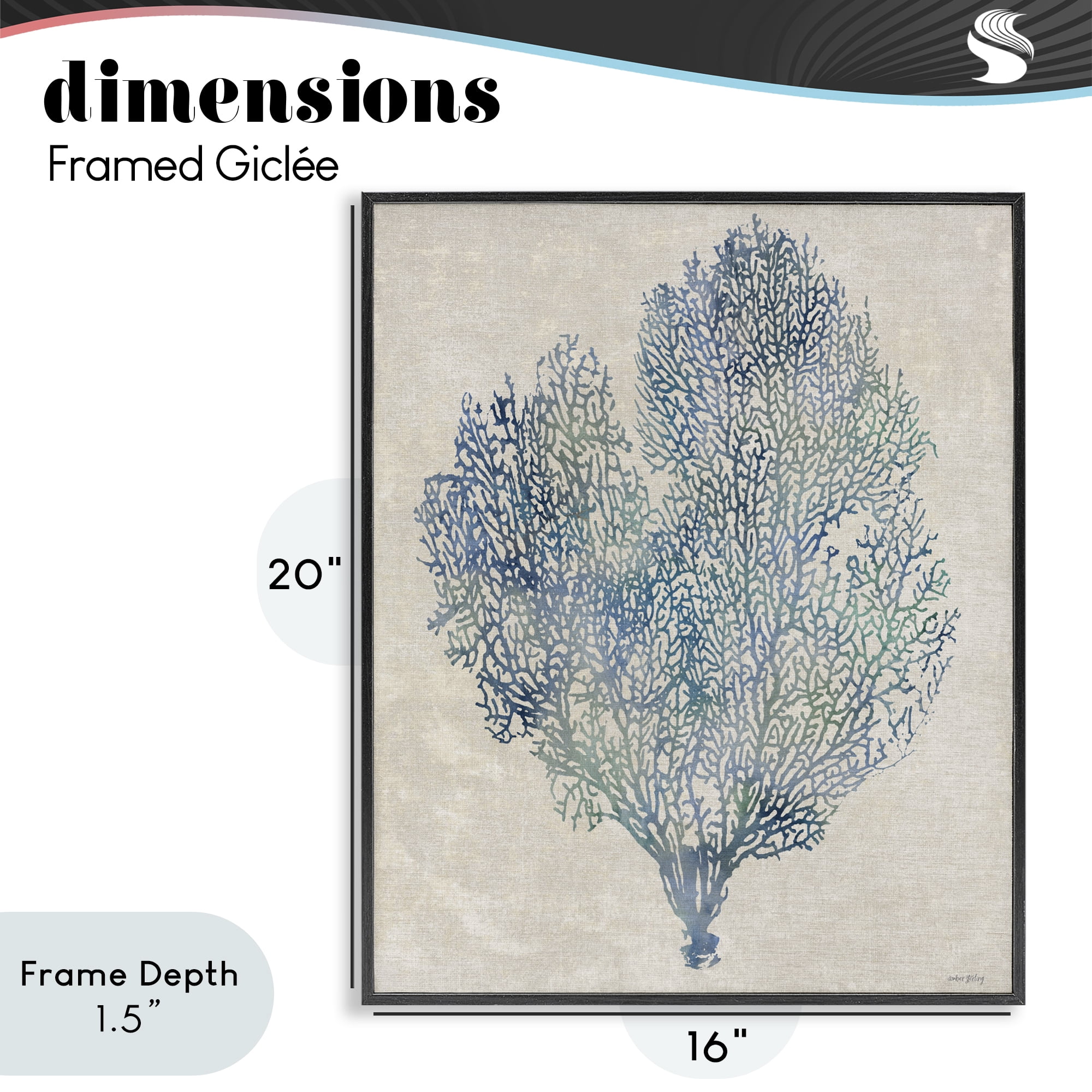 Stupell Industries Fan Coral in Blue & Green Black Framed Giclee Art, design by Amber Sterling