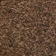 thumbnail image 3 of Tetra BloodWorms Freeze Dried Fish Food Treats, 3 of 6
