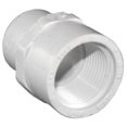 thumbnail image 1 of Charlotte Pipe & Foundry PVC021040600HA 0.5 x 0.75 Po Adaptateur SXFPT, 1 of 6