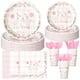 thumbnail image 1 of Juego de vajilla desechable para fiesta Havawish, 175 piezas, rosa, cumpleaños de niña, 1 of 6