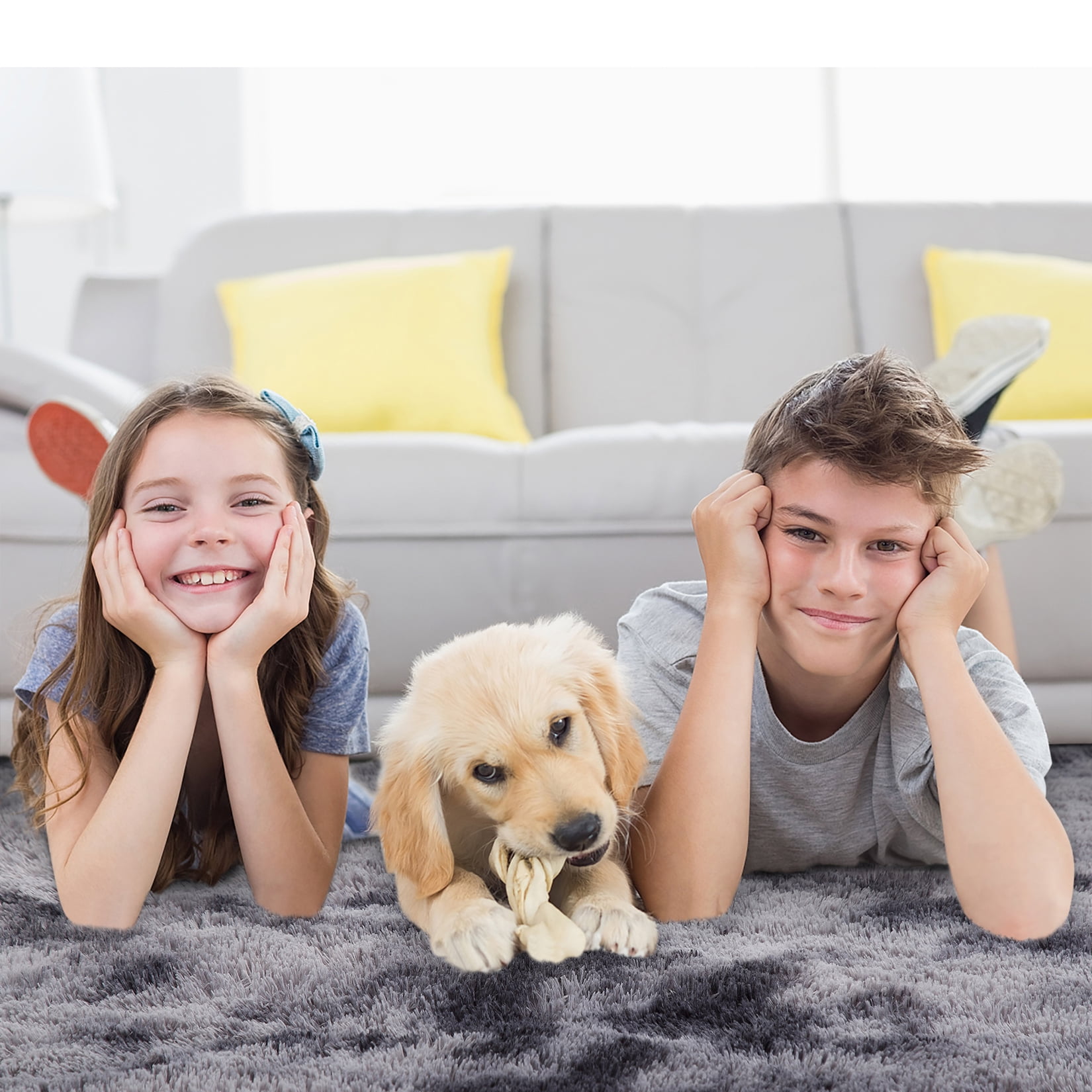 CAROMIO 10' x 13' Large Modern Shag Rugs for Living Room Fluffy Soft Area Rug Plush Carpet for Bedroom Indoor Luxury Fuzzy Rug, Dark Gray