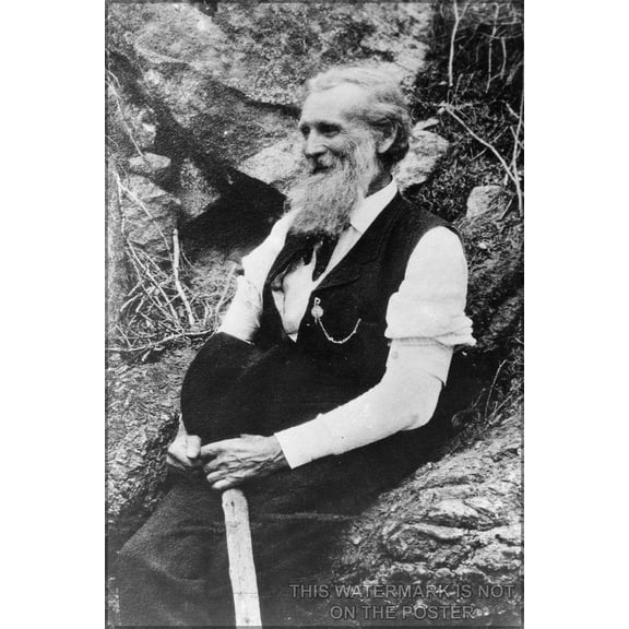 24"x36" Gallery Poster, john muir forest preservation sierra club