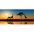 thumbnail image 2 of Family Giraffes Wall Mural by Wallmonkeys Peel and Stick Graphic (48 in W x 22 in H) WM196575, 2 of 4