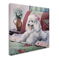 thumbnail image 2 of Trademark Fine Art 'White Poodle' Canvas Art by Jenny Newland, 2 of 3
