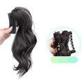 thumbnail image 1 of POINTERTECK Extensions de Cheveux Pince Queue de Cheval Courte Faux Cheveux L7H1, 1 of 9