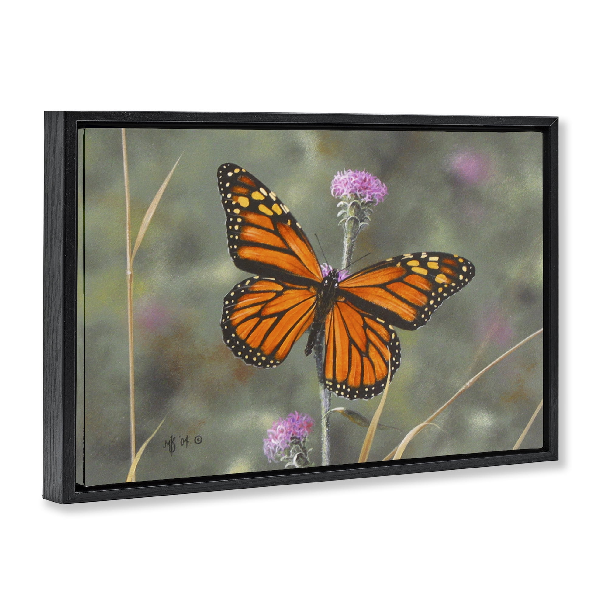Stupell Industries Summer Visitor Butterfly Animals Photography Black Floater Framed Canvas Art Print Wall Art, 25 x 17