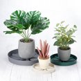 thumbnail image 5 of Uxcell 6 Inch Plant Saucers Tray, Durable Plastic Round Flower Pot Drip Tray, White 2Pcs, White 11.8 Inch, 5 of 5