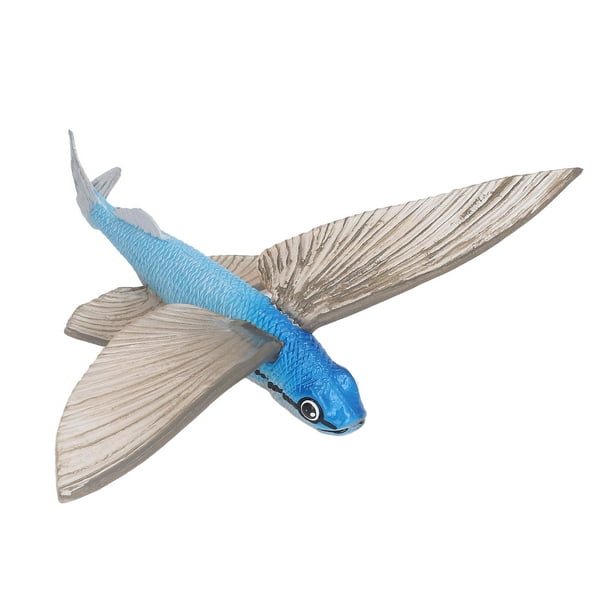 Simulation Toy, Exquisite Design Deepen Understanding Nature Flying Fish  Model For School For Bedroom 