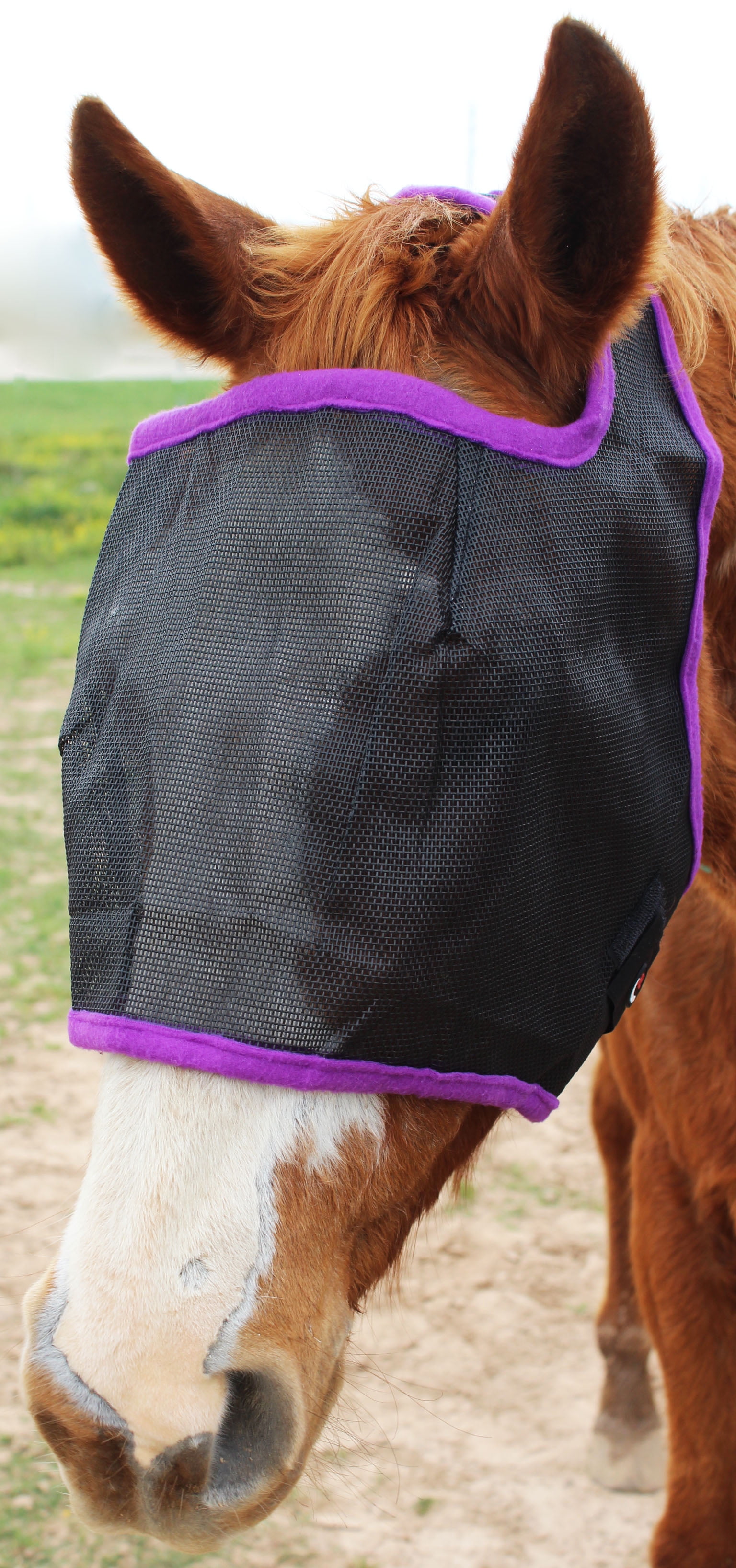 Equine Horse Fly Mask Summer Spring Airflow Mesh UV Mosquitoes 73229