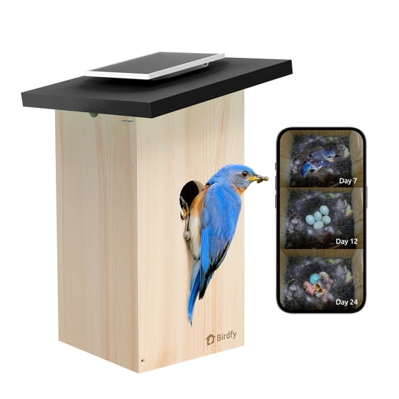 Birdfy Ebony Solar Powered Smart Bird House with Camera and AI Identification