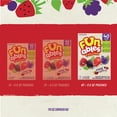 thumbnail image 6 of Funables Fruity Snacks, Mixed Berry Flavored Snacks, 0.8 Ounce Pouches, 40 Count, 6 of 12