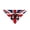 D, variant on Customizable National Flag Dog Bandana, Personalized Pet Name & Number Triangle Scarf, Breathable Polyester Neckwear For Dogs Cats