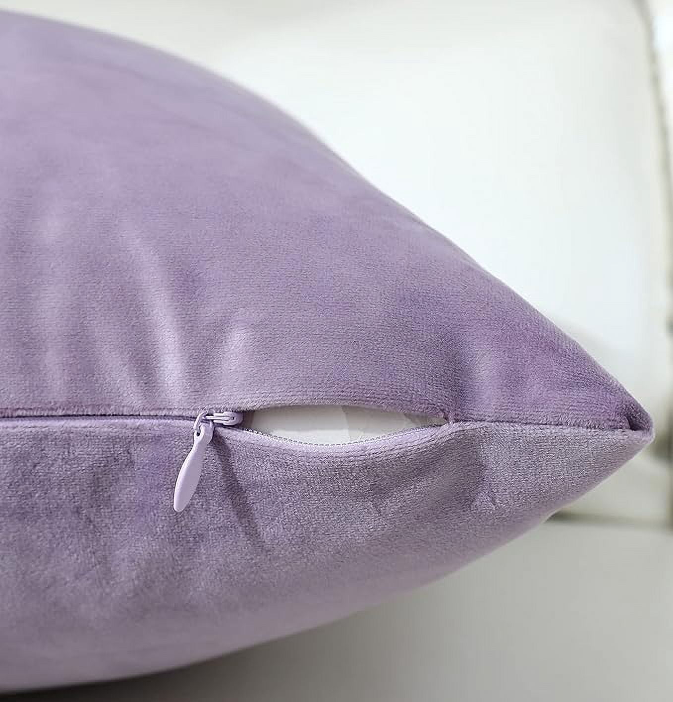 Cterwk Set of 2 Soft Velvet Throw Pillow Cover with Zipper, Decorative Solid Square Cushion Cases for Bedroom Car Sofa Couch, 20 x 20inch