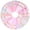 Floral Pink, variant on 168Pcs Quilting Cotton Fabric Square 5 x 5 inches Charm Pack for Quilting Pre-Cut Quilting Fabric Squares Floral Patchwork for Sewing Scrapbooking Patchwork DIY Crafts