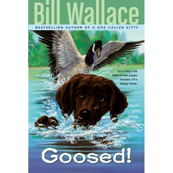 Goosed!, (Paperback)