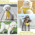 thumbnail image 2 of Enkarl Soft Small Dog Harness and Leash Set Step in Air Mesh Puppy Harness Leash Easy Walk Dog Harness Vest Adjustable Reflective No Pull Dog Harnesses for Small Dogs Cats (Yellow Grey, L), 2 of 8
