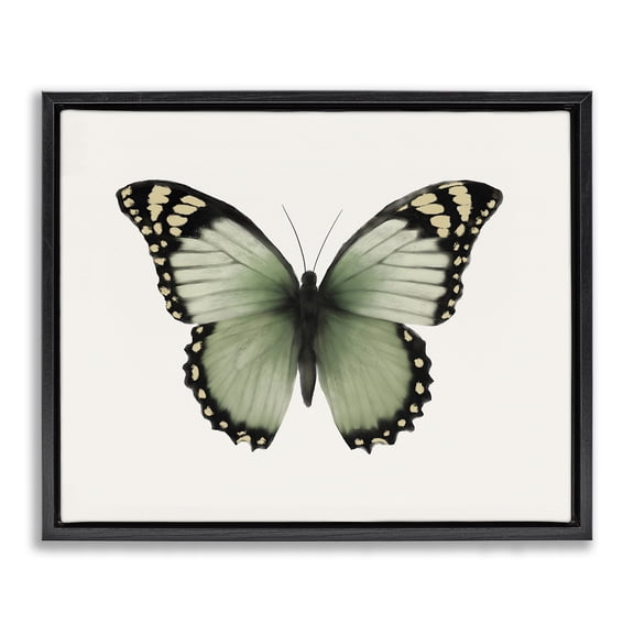 Stupell Industries Cottage Green Symmetrical Butterfly Black Floating Frame Canvas Art, 21 x 17, by Elizabeth Medley
