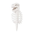 thumbnail image 3 of Pet Dinosaur Skeleton Costume, Soft Plush T Rex Style Halloween Outfit for Medium and Large Dogs and Cats, Wearable Dino Apparel for Parties, Photo Props, Dress Up and Seasonal Events, 3 of 4