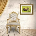 thumbnail image 3 of Lord, Fred 32x23 Gold Ornate Wood Framed with Double Matting Museum Art Print Titled - CO, Cameron Pass Bull moose with velvet antlers, 3 of 4