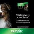 Capstar flea pill walmart Clearance