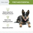 thumbnail image 3 of Chew + Heal Pet Liquid Bandage for Dogs and Cats - 4 oz Spray with Aloe - Wound Care for Pets for Cuts, Scrapes, and Stitches, 3 of 7